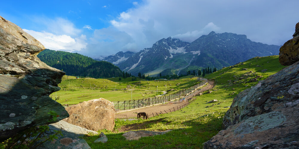 Amarnath Yatra