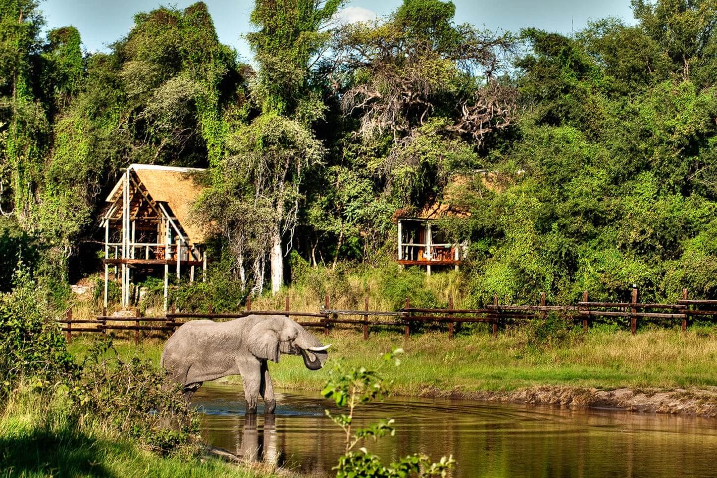 Value Botswana – Okavango Delta, Savute, Chobe National park