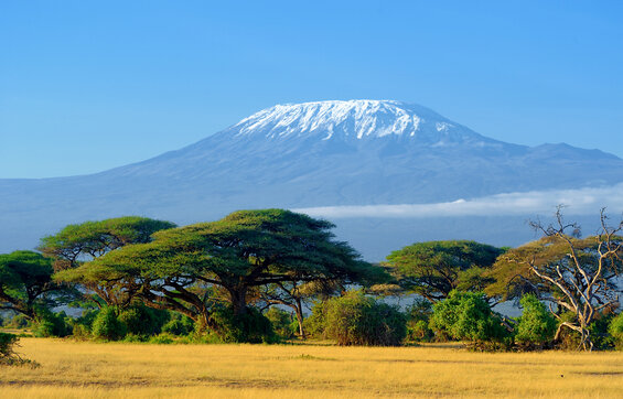 Road Trip 4X4 safari – Amboseli, Nairobi, Masai Mara