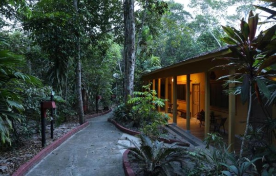 Amazon Eco Park Jungle Lodge