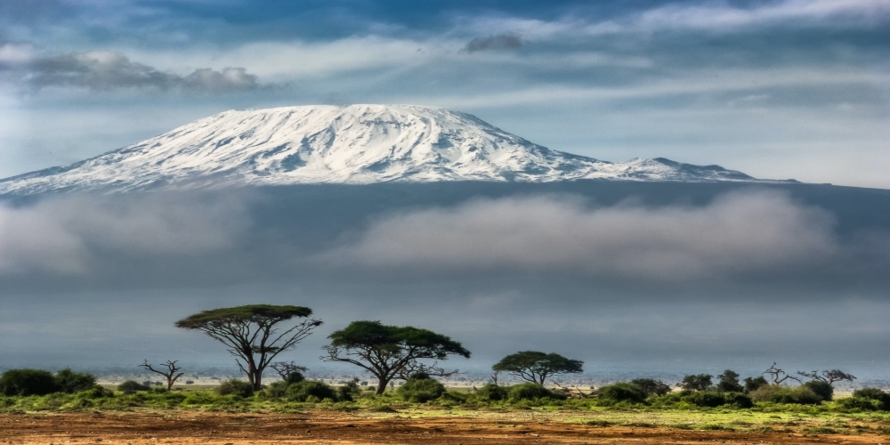 Private Migration by Road – Ngorongoro Crater , Tarangire, Serengeti