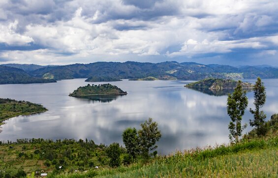 Value Gorilla trek – Volcanoes National Park, Lake Kivu – Rwanda